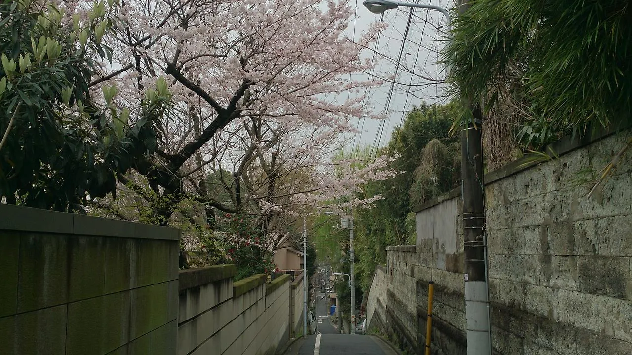 Namio Apartment 201 Tokyo 0*,